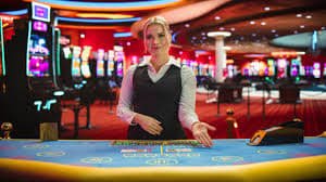 Platform paushoki menampilkan live-dealer tables dan interface mobile yang responsif