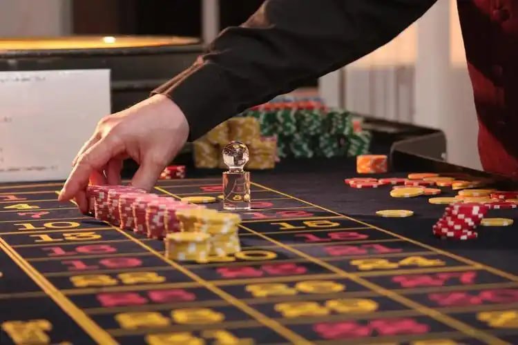 Interface live-dealer blackjack paushoki dengan chat dan statistik real-time
